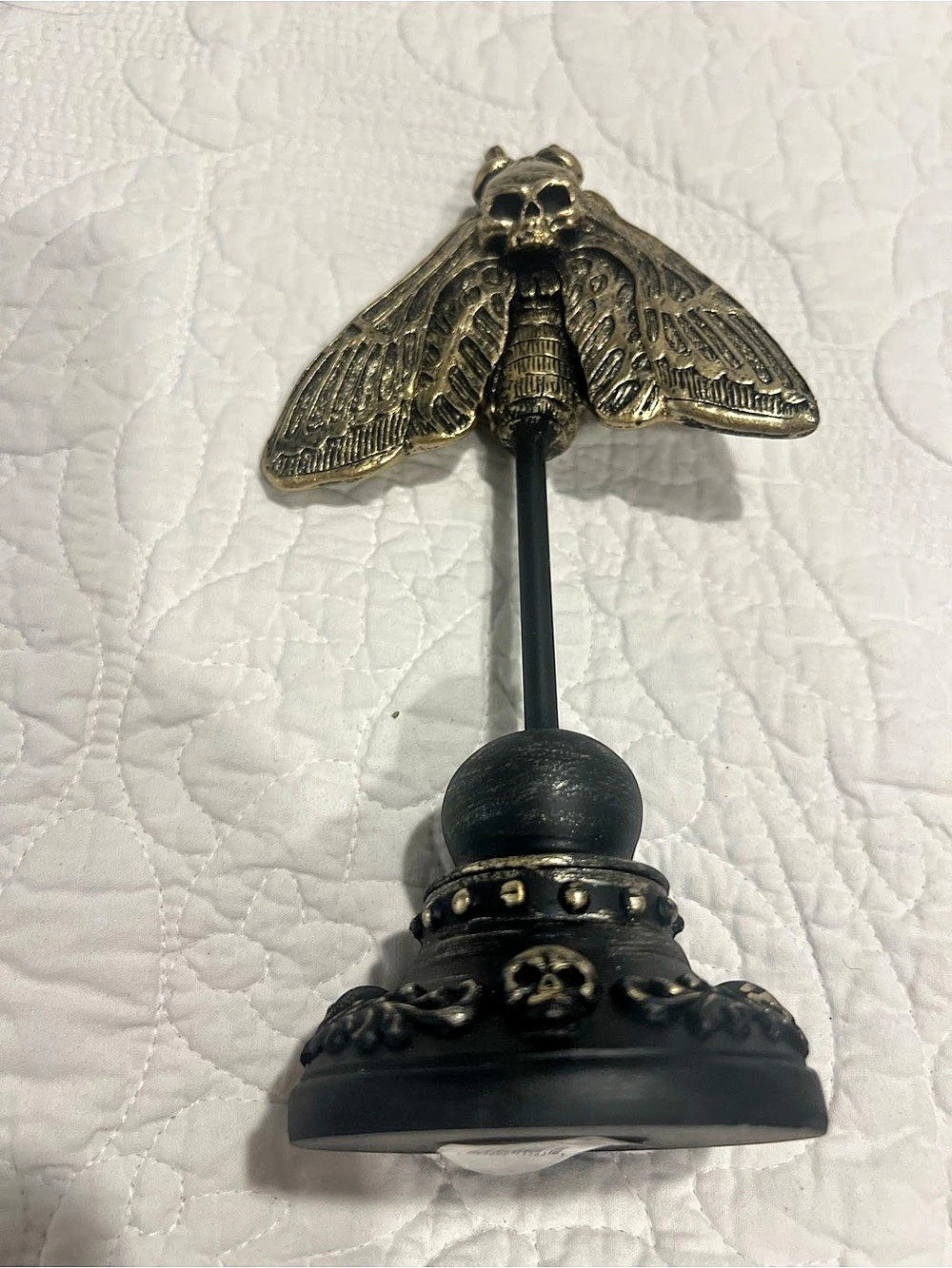 Taxidermy Resin Skull Moth Butterfly Halloween Shelf Display Gothic Gold Colored